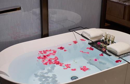 Youxian District Hotel | Arula Mianyang Jianshan Hotel-绵阳见山檀程酒店