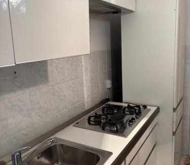 Pascani Apartment | Asalt Pascani
