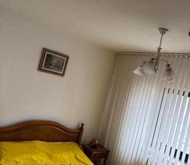 Pascani Apartment | Asalt Pascani
