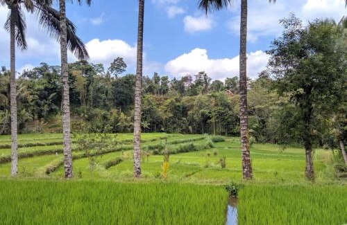 Kecamatan Pringgasela House | Asan Rinjani Homestay Tetebatu