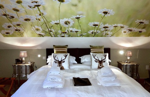 Dungannon Bed & Breakfast | Ashbrook House B&B