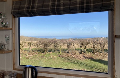 Eyemouth Ski Chalet | Ashmere Tiny House . Adults Only