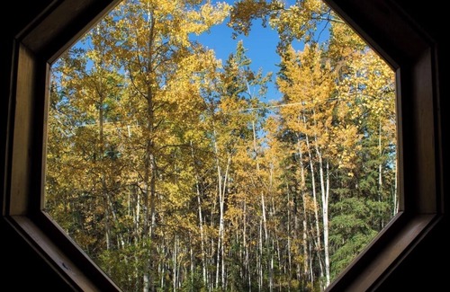 Glennallen Cabin | Aspen Haven Cabin in Glennallen