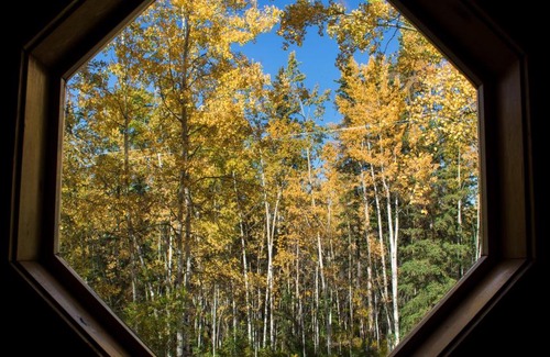 Glennallen Cabin | Aspen Haven Cabin