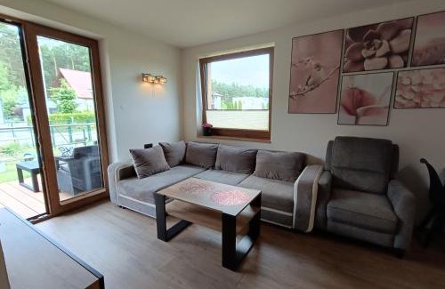 Orlinki Apartment | Aster Aparts Wyspa Sobieszewska