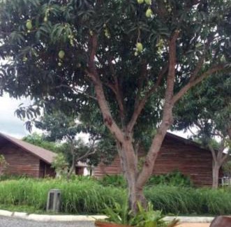 Sofronio Espanola Hotel | Astoria Palawan 4
