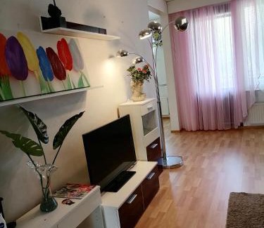Vanhahovi Apartment | Asunto Kitee