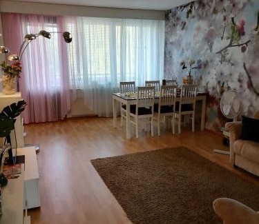 Vanhahovi Apartment | Asunto Kitee