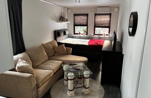 Degerfors Cabin | Attefallshus
