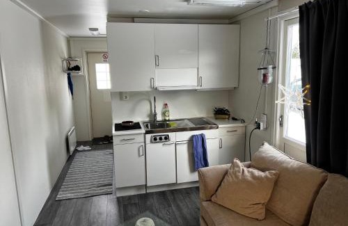 Degerfors Cabin | Attefallshus