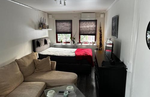 Degerfors Cabin | Attefallshus