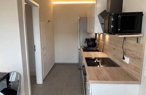 Großhansdorf House | Attractive flat with underground connect. to Hamburg +20 min. to the Baltic Sea