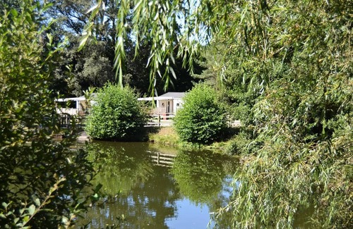 Correze Ski Chalet | Au Bois de Calais * - Chalet Tree : 2 bedrooms + TV, 4 people