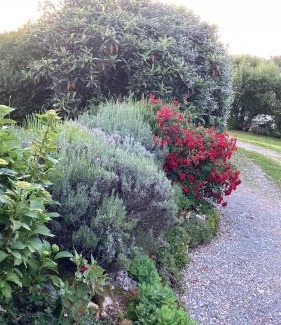 Berthez Bed & Breakfast | Au Bras d'Argent
