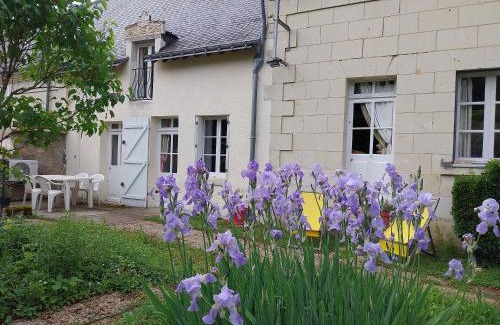 Huismes House | Au cœur des châteaux et des vignobles de la Loire