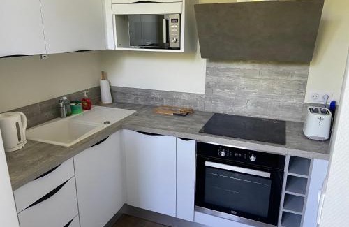 Thermal Apartment | AU COEUR DES SOURCES - Face aux Parcs & Thermes - Hypercentre