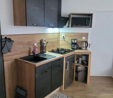 Puygouzon Apartment | Au Grand Chêne Jolie T3 à 5 min d'Albi