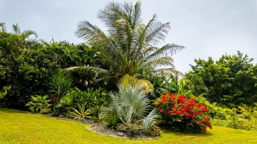 Sainte-Rose House | Au jardin d'Eole