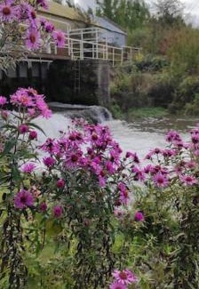 Croissy-sur-Celle House | Au Moulin des Prés - Gîte 15 couchages au bord de l'eau
