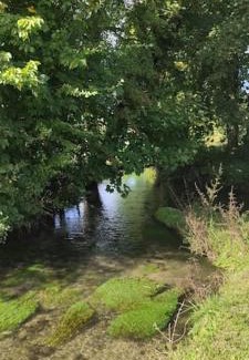 Croissy-sur-Celle House | Au Moulin des Prés - Gîte 15 couchages au bord de l'eau