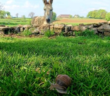Bazolles House | Au pied de l étang et du canal du Nivernais bazolles