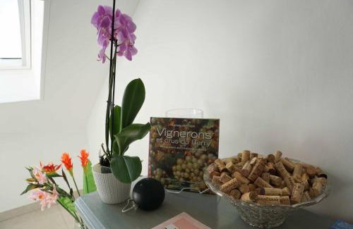 Sancerre House | Au pied des Vignes