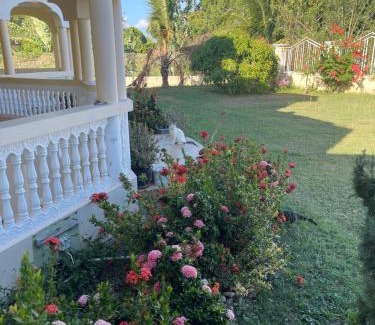 Black River Bed & Breakfast | Auglo Villa