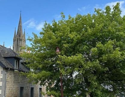 Pontmain Apartment | Auprès de mon arbre