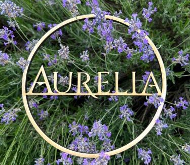 Hofstade House | Aurelia