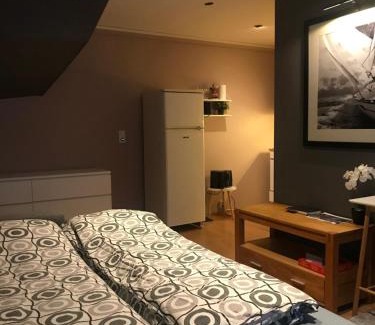 Tromso Apartment | Aurora Borealis