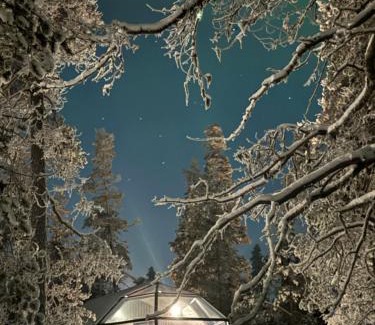 Sodankyla Resort | Aurora Queen Resort Igloos