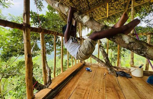 Kotapola Other | AVA tree house