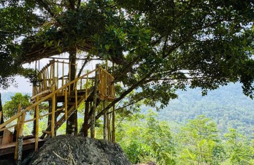 Kotapola Other | AVA tree house