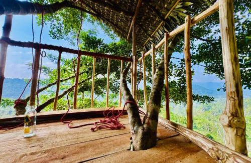 Kotapola Other | AVA tree house