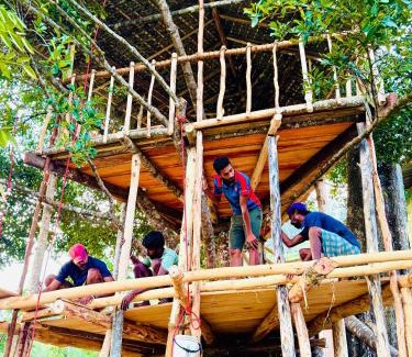 Kotapola Other | AVA tree house