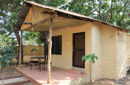 Moharli Resort | Avadale Tadoba - Stag Groups Not Allowed