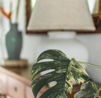 Nikao Tapere Villa | Avaiki Nui Villa