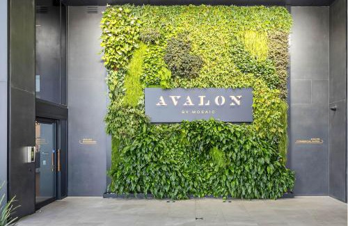 Maroochydore Apartment | Avalon Resort Maroochydore