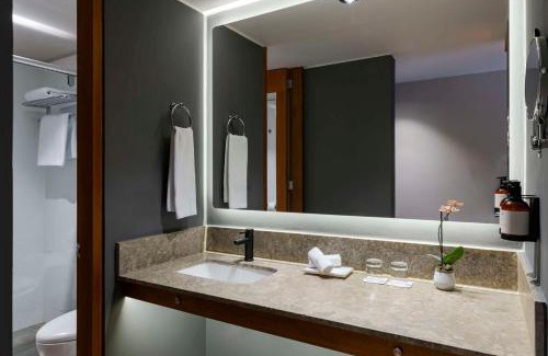 Zona Rosa Hotel | Avani Royal Zona T Bogotá Hotel