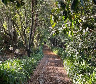 Aveiro House | Aveiro Maias Village - CASA DA ROSA