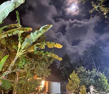 Kecamatan Pringgasela House | Avocado homestay