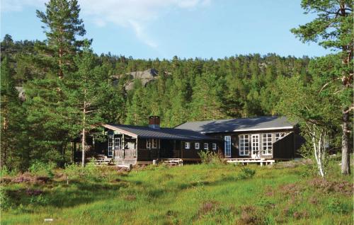Nissedal House | Awesome Home In Treungen With Sauna