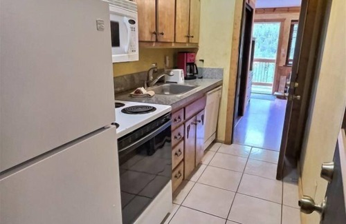 Taos Ski Valley Condo | Awesome Ski Lodge Condo Sleeps 6 in Taos Ski Valley