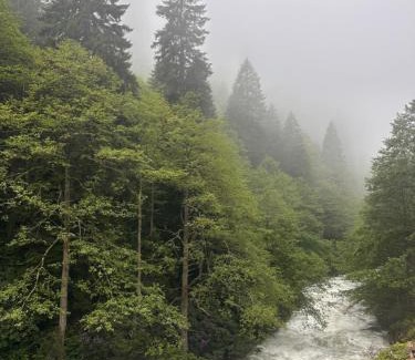 Ayder Yaylasi Villa | Ayder Gencal Villa