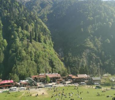 Ayder Yaylasi Apartment | Ayder Villa Bravo