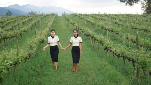 Taunggyi Hotel | Aythaya Monte diVino Lodge