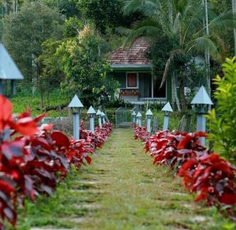 Krishnagiri Resort | Ayurnest Pool Resort Wayanad
