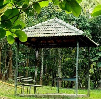 Krishnagiri Resort | Ayurnest Pool Resort Wayanad