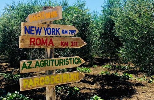 Nuova Cliternia House | Az. Agr. Parco dei Buoi