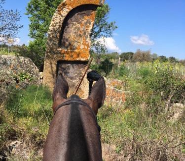Borore House | Azienda agricola Affittacamere S'Ispinalba di Laura Pitzolu